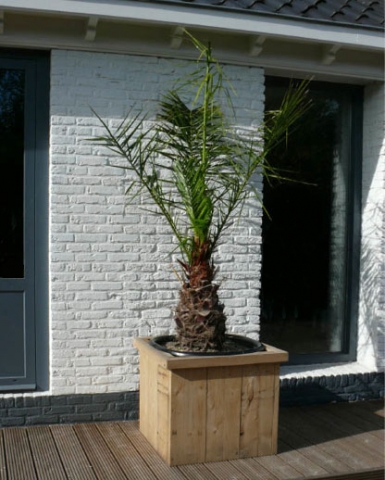 Steigerhout plantenbak